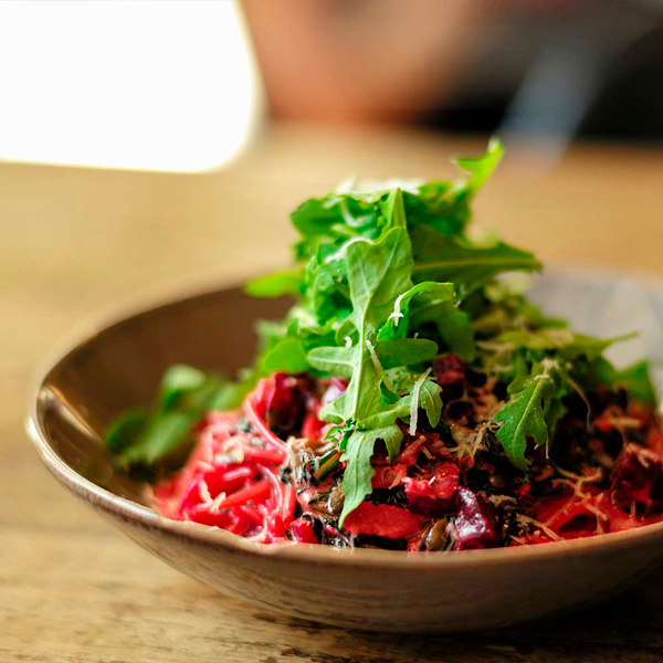 Skovens bund og kilder